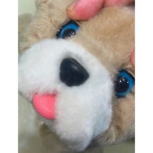 Little live puppy fluffy